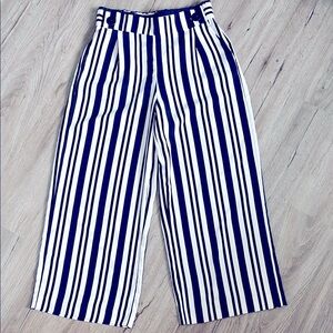 Zara Vertical Striped Navy Wide-Leg Pants